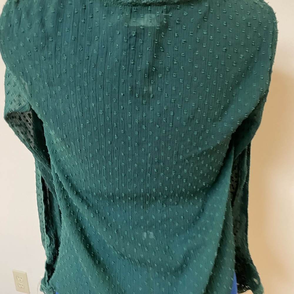 Green Zara V-Kneck Ruffle Long Sleeve Blouse - Picture 3 of 4